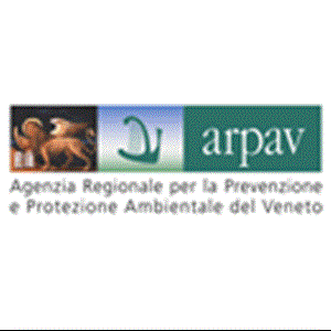CAE para los &quot;Servicios de gestión operativa integrada de las redes de monitoreo automático de ARPA Veneto&quot;